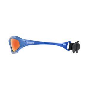Polarized lens